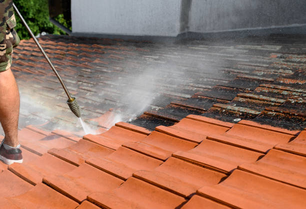 Best Residential Pressure Washing Services  in Marana, AZ