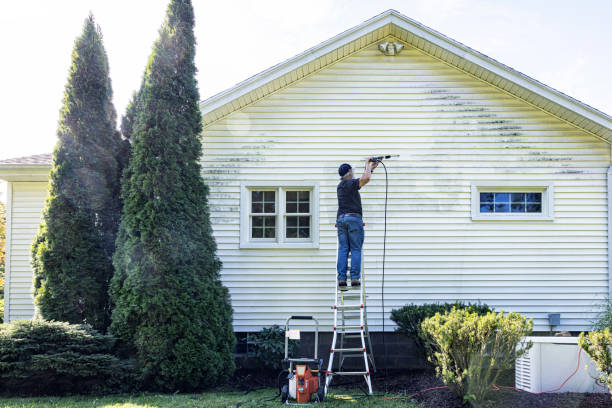 Best Concrete Pressure Washing  in Marana, AZ